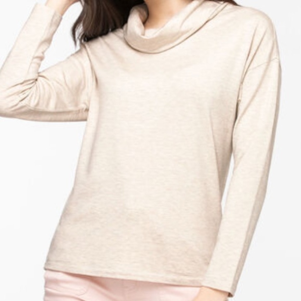 Cowl Neck Knit Top